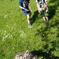 Arboretum Němčičky
