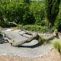 Arboretum Němčičky