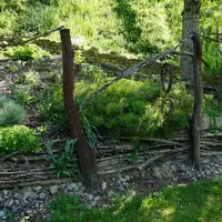 Arboretum Němčičky