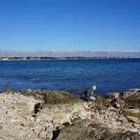 Ostrov Vir