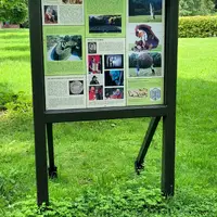Brandýs nad Orlicí