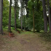 Brandýs nad Orlicí