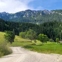Solčava