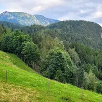 Solčava