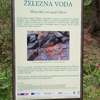 Solčava