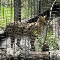 Faunapark ZOO Sedlec