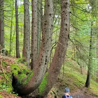Soutěska Wörschachklamm