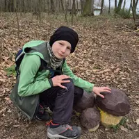 Zřícenina letohrádku Belveder a rozhledna Vysoká