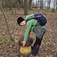 Zřícenina letohrádku Belveder a rozhledna Vysoká