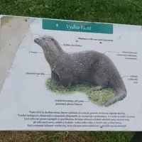 Vlašim