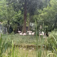 Zoologická a botanická zahrada Liberec