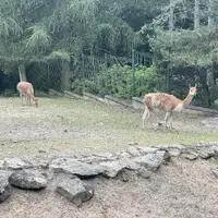 Zoologická a botanická zahrada Liberec
