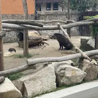 Zoologická a botanická zahrada Liberec
