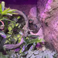 Zoologická a botanická zahrada Liberec
