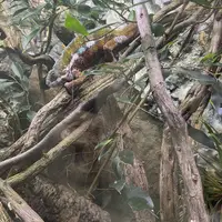 Zoologická a botanická zahrada Liberec
