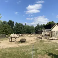 Zoologická a botanická zahrada Liberec