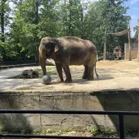 Zoologická a botanická zahrada Liberec