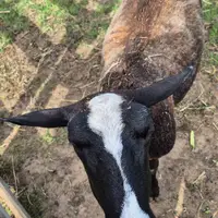 Naučná stezka Putování s kuličkou krajinou Mutěnic
