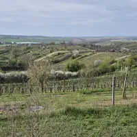 Rozhledna Vyšicko u Mutěnic