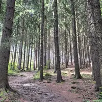 Naučná stezka Vařákovy paseky