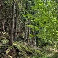 Naučná stezka Vařákovy paseky