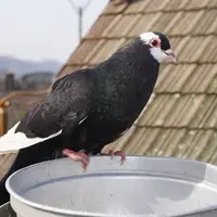 Valašské Meziříčí