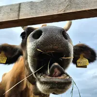 Farmářská stezka v Újezdu u Brna