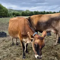 Farmářská stezka v Újezdu u Brna