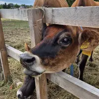 Farmářská stezka v Újezdu u Brna