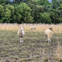 Farmářská stezka v Újezdu u Brna