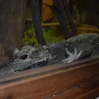 Zoo Bratislava
