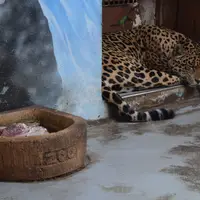 Zoo Bratislava