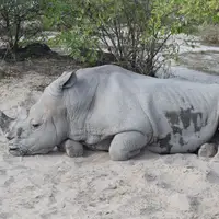 Zoo Bratislava