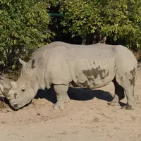 Zoo Bratislava