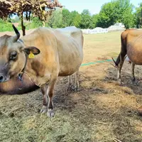 Farmářská stezka v Újezdu u Brna