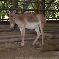 Zoo Bratislava