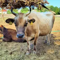 Farmářská stezka v Újezdu u Brna
