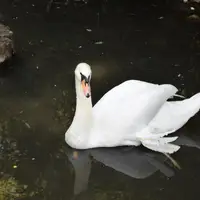 Zoo Bratislava