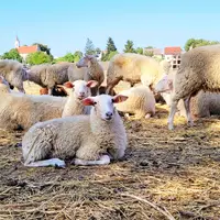 Farmářská stezka v Újezdu u Brna