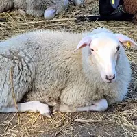 Farmářská stezka v Újezdu u Brna