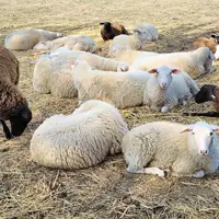 Farmářská stezka v Újezdu u Brna