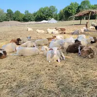 Farmářská stezka v Újezdu u Brna