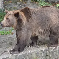 Zoo Bratislava
