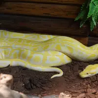 Zoo Bratislava
