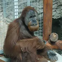 Zoo Bratislava