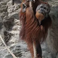 Zoo Bratislava