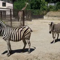 Zoo Bratislava