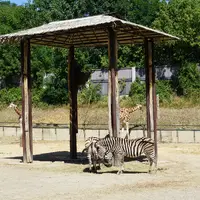 Zoo Bratislava