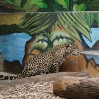 Zoo Bratislava