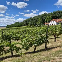 Naučná vinařská stezka Sádek a NS Lesopark Sádek